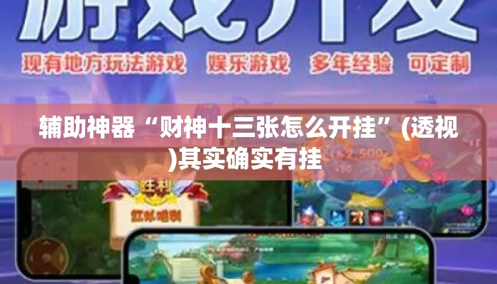 辅助神器“财神十三张怎么开挂”(透视)其实确实有挂 
