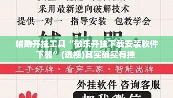 辅助开挂工具“微乐开挂下载安装软件下载	”(透视)其实确实有挂 