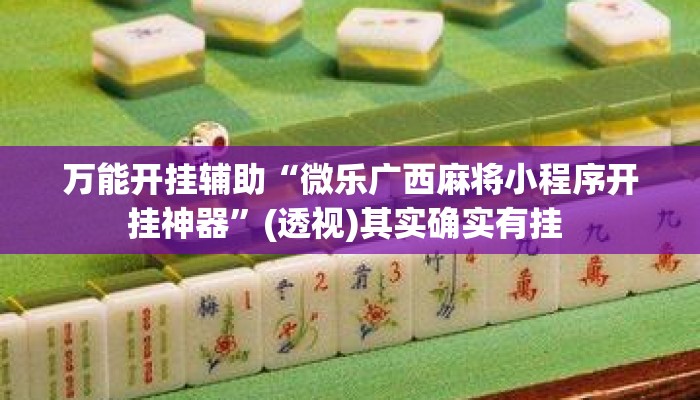 万能开挂辅助“微乐广西麻将小程序开挂神器	”(透视)其实确实有挂 