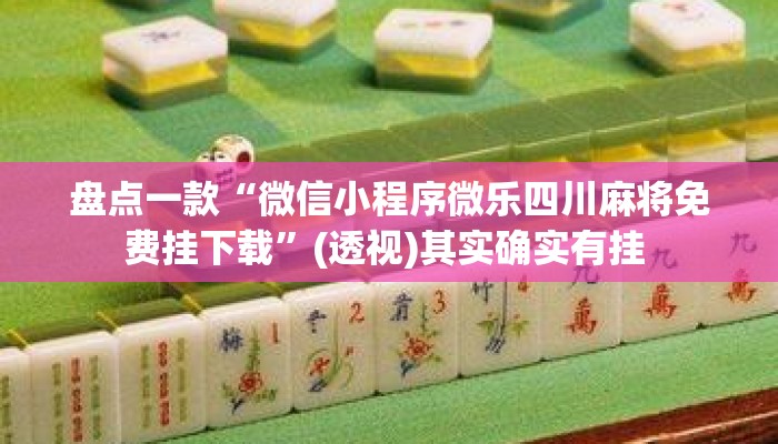 盘点一款“微信小程序微乐四川麻将免费挂下载”(透视)其实确实有挂 