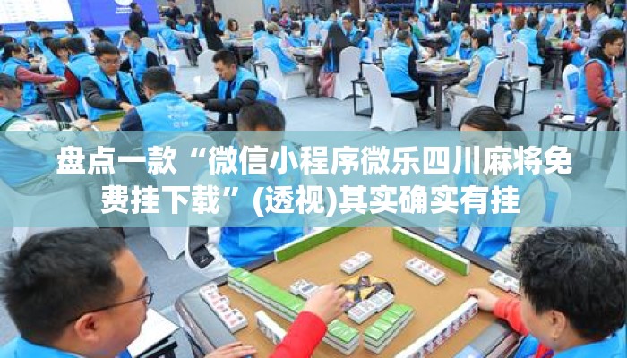 盘点一款“微信小程序微乐四川麻将免费挂下载	”(透视)其实确实有挂 