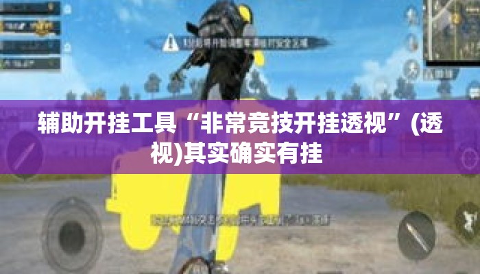 辅助开挂工具“非常竞技开挂透视”(透视)其实确实有挂 