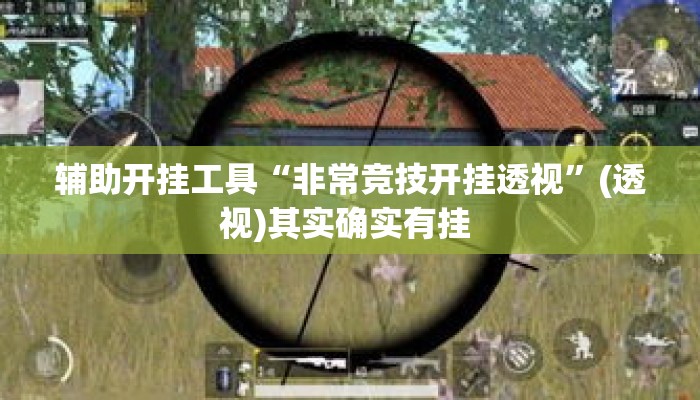 辅助开挂工具“非常竞技开挂透视”(透视)其实确实有挂 