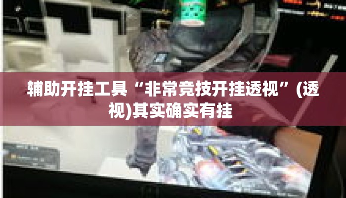 辅助开挂工具“非常竞技开挂透视”(透视)其实确实有挂 