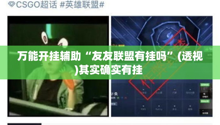 万能开挂辅助“友友联盟有挂吗”(透视)其实确实有挂 