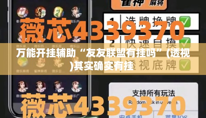 万能开挂辅助“友友联盟有挂吗”(透视)其实确实有挂 