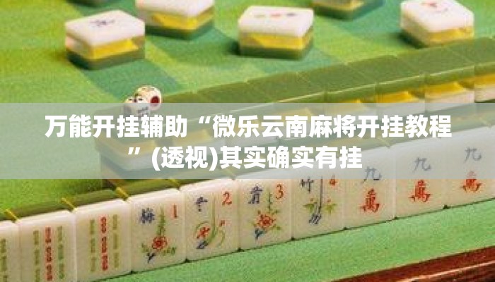 万能开挂辅助“微乐云南麻将开挂教程”(透视)其实确实有挂 