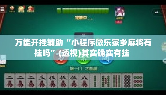万能开挂辅助“小程序微乐家乡麻将有挂吗”(透视)其实确实有挂 
