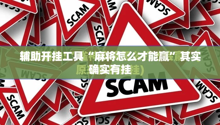 辅助开挂工具“麻将怎么才能赢”其实确实有挂