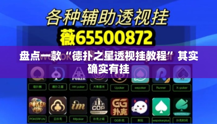 盘点一款“德扑之星透视挂教程”其实确实有挂
