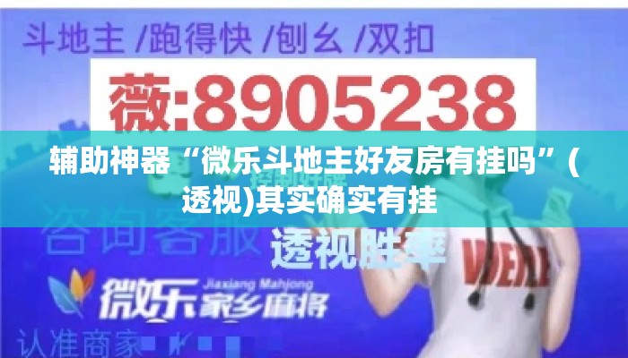 辅助神器“微乐斗地主好友房有挂吗”(透视)其实确实有挂 