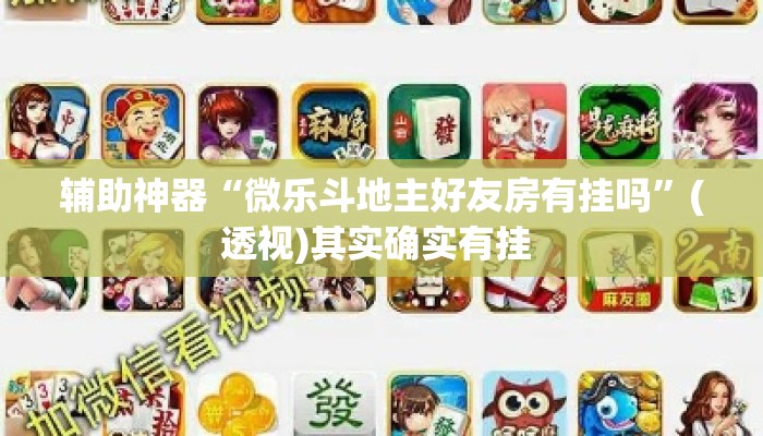 辅助神器“微乐斗地主好友房有挂吗”(透视)其实确实有挂 