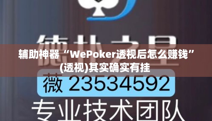 辅助神器“WePoker透视后怎么赚钱”(透视)其实确实有挂 