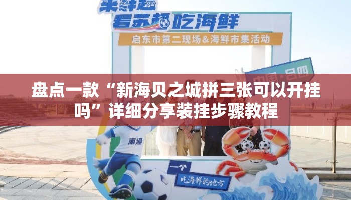盘点一款“新海贝之城拼三张可以开挂吗”详细分享装挂步骤教程