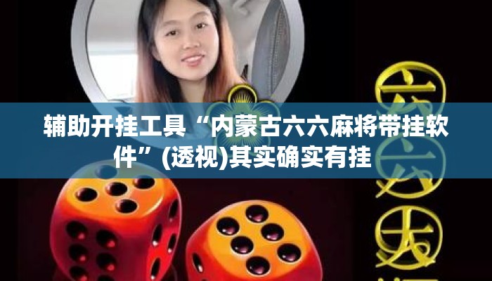 辅助开挂工具“内蒙古六六麻将带挂软件”(透视)其实确实有挂 