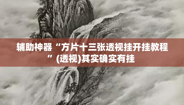 辅助神器“方片十三张透视挂开挂教程	”(透视)其实确实有挂 
