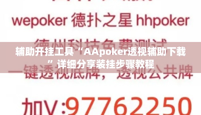 辅助开挂工具“AApoker透视辅助下载”详细分享装挂步骤教程