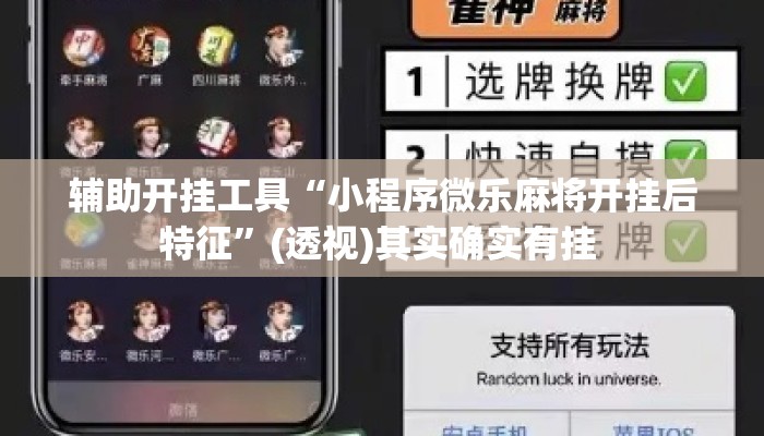 辅助开挂工具“小程序微乐麻将开挂后特征”(透视)其实确实有挂 