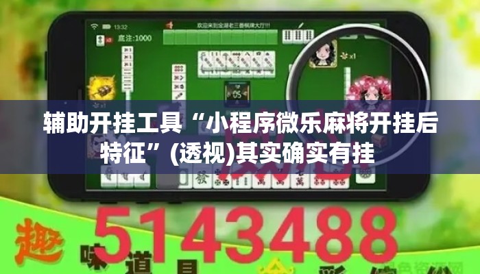 辅助开挂工具“小程序微乐麻将开挂后特征”(透视)其实确实有挂 