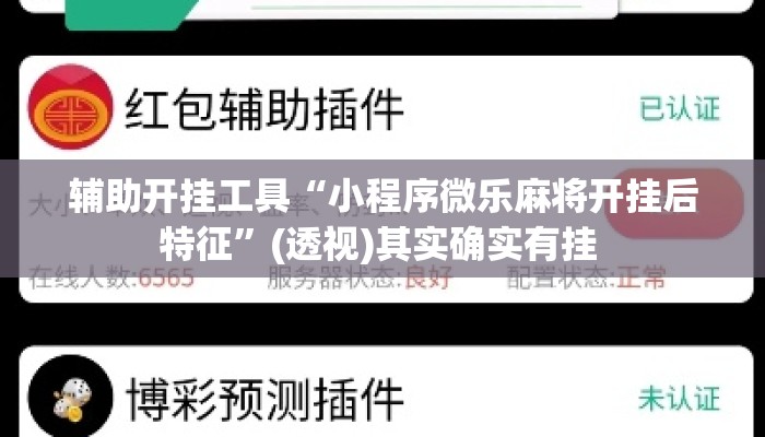 辅助开挂工具“小程序微乐麻将开挂后特征”(透视)其实确实有挂 