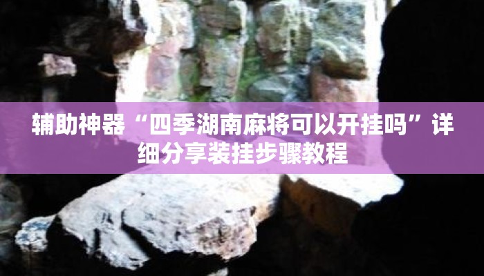 辅助神器“四季湖南麻将可以开挂吗”详细分享装挂步骤教程