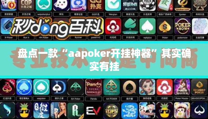 盘点一款“aapoker开挂神器”其实确实有挂