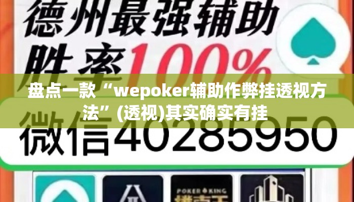 盘点一款“wepoker辅助作弊挂透视方法”(透视)其实确实有挂 