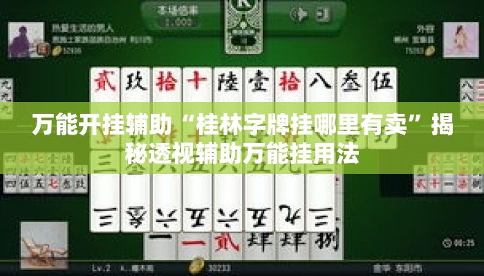 万能开挂辅助“桂林字牌挂哪里有卖”揭秘透视辅助万能挂用法