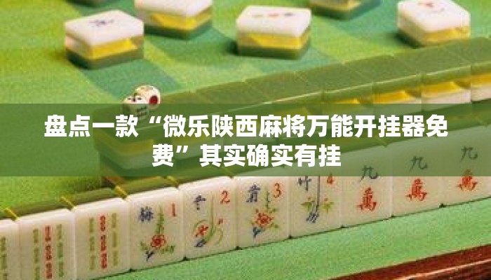 盘点一款“微乐陕西麻将万能开挂器免费”其实确实有挂