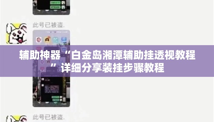 辅助神器“白金岛湘潭辅助挂透视教程”详细分享装挂步骤教程
