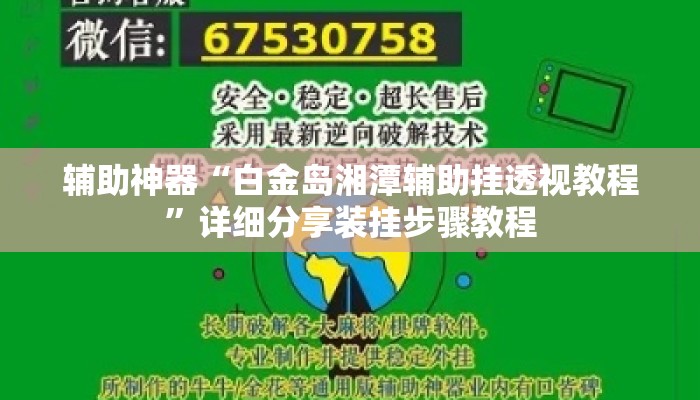 辅助神器“白金岛湘潭辅助挂透视教程”详细分享装挂步骤教程