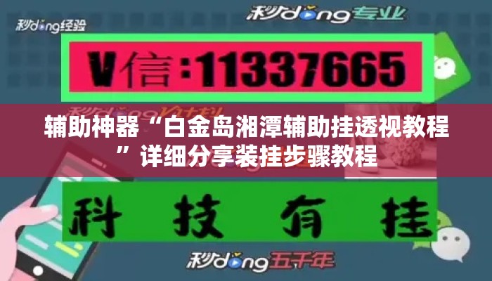 辅助神器“白金岛湘潭辅助挂透视教程	”详细分享装挂步骤教程