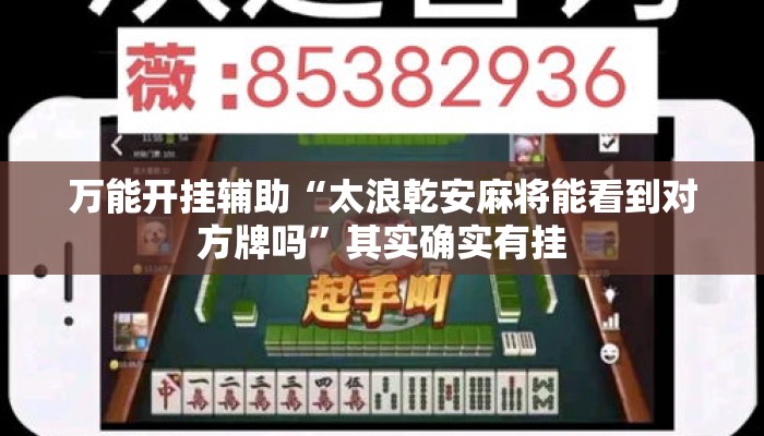 万能开挂辅助“太浪乾安麻将能看到对方牌吗”其实确实有挂