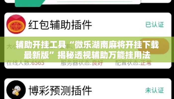 辅助开挂工具“微乐湖南麻将开挂下载最新版”揭秘透视辅助万能挂用法