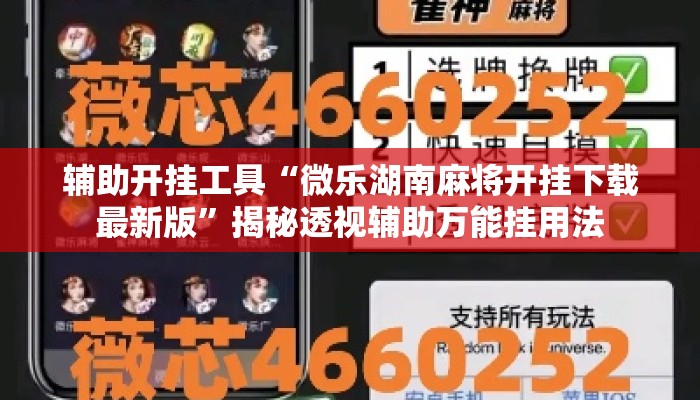 辅助开挂工具“微乐湖南麻将开挂下载最新版”揭秘透视辅助万能挂用法