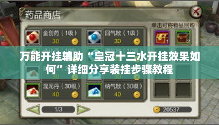万能开挂辅助“皇冠十三水开挂效果如何	”详细分享装挂步骤教程