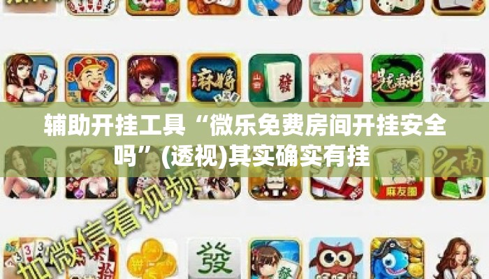 辅助开挂工具“微乐免费房间开挂安全吗”(透视)其实确实有挂 