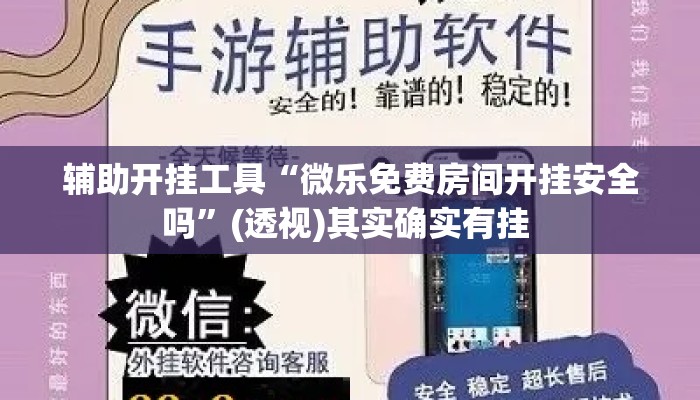 辅助开挂工具“微乐免费房间开挂安全吗”(透视)其实确实有挂 