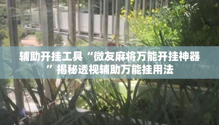 辅助开挂工具“微友麻将万能开挂神器”揭秘透视辅助万能挂用法