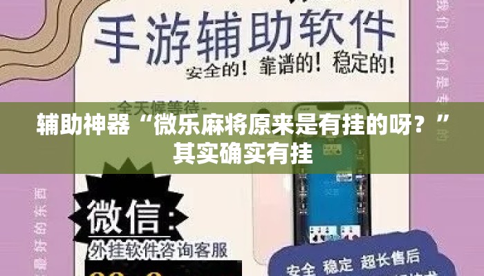 辅助神器“微乐麻将原来是有挂的呀？”其实确实有挂