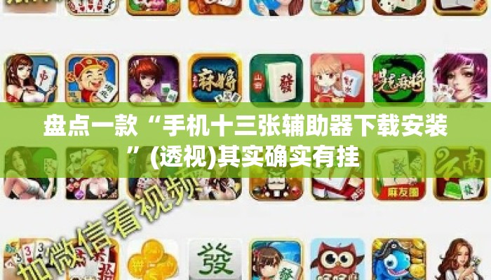 盘点一款“手机十三张辅助器下载安装	”(透视)其实确实有挂 