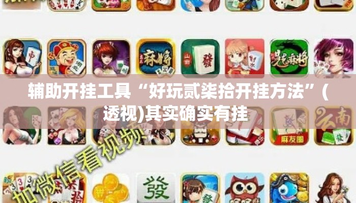 辅助开挂工具“好玩贰柒拾开挂方法”(透视)其实确实有挂 
