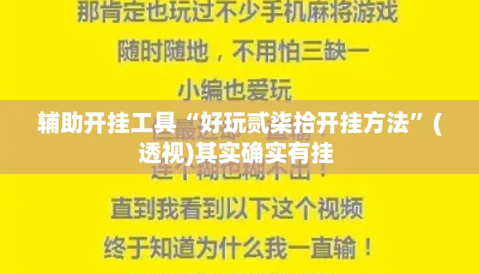 辅助开挂工具“好玩贰柒拾开挂方法”(透视)其实确实有挂 