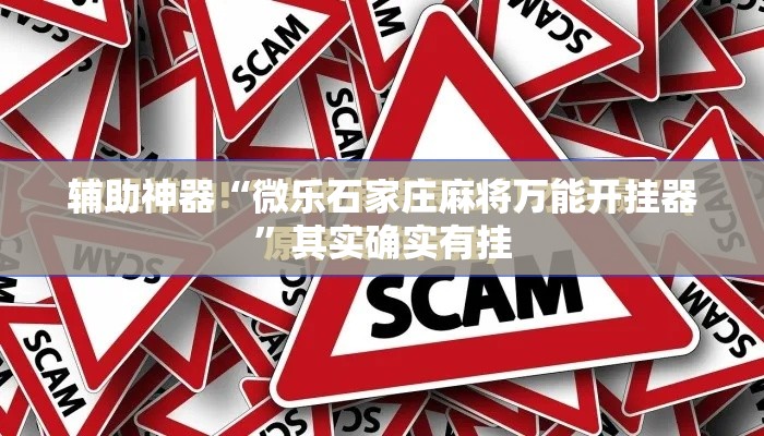 辅助神器“微乐石家庄麻将万能开挂器”其实确实有挂