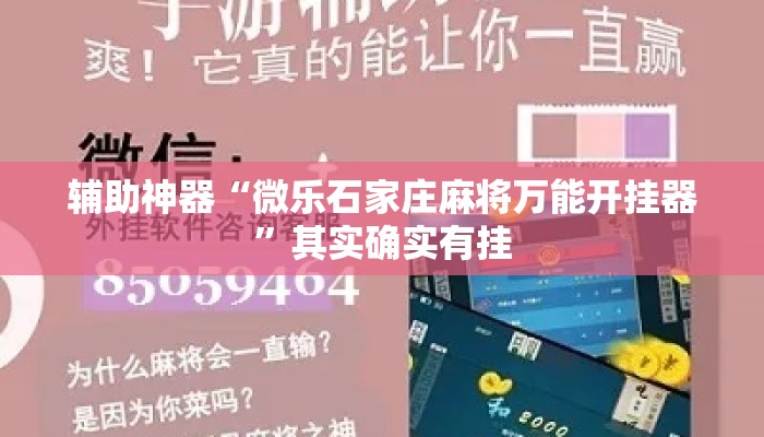 辅助神器“微乐石家庄麻将万能开挂器	”其实确实有挂