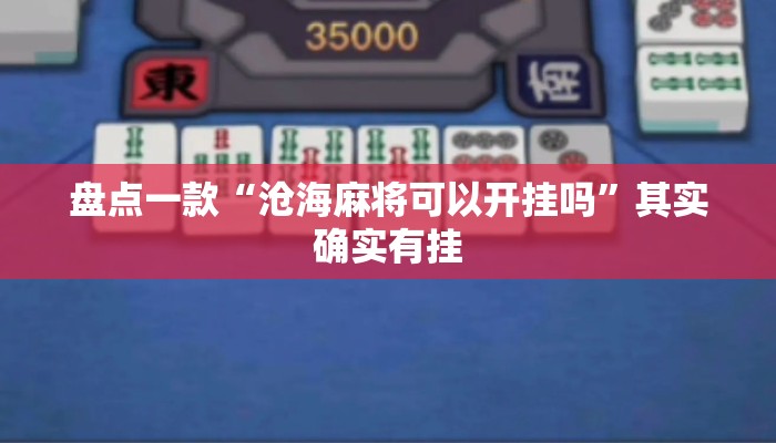 盘点一款“沧海麻将可以开挂吗”其实确实有挂