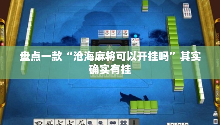 盘点一款“沧海麻将可以开挂吗”其实确实有挂