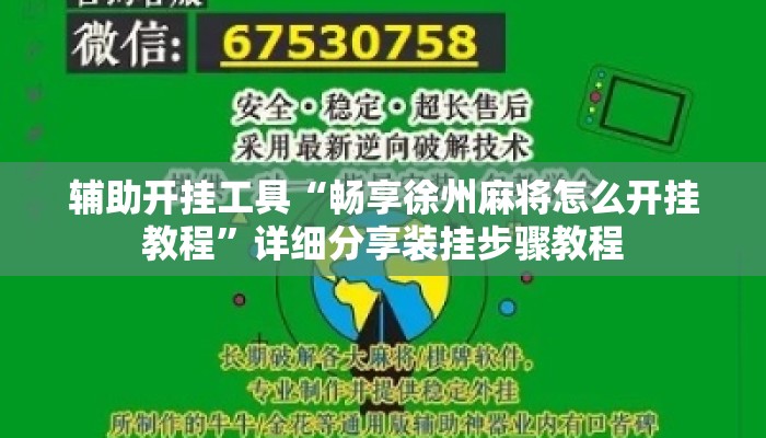 辅助开挂工具“畅享徐州麻将怎么开挂教程	”详细分享装挂步骤教程
