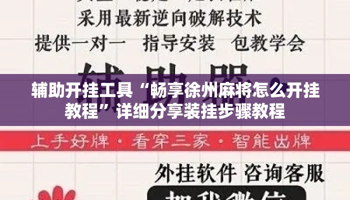 辅助开挂工具“畅享徐州麻将怎么开挂教程”详细分享装挂步骤教程
