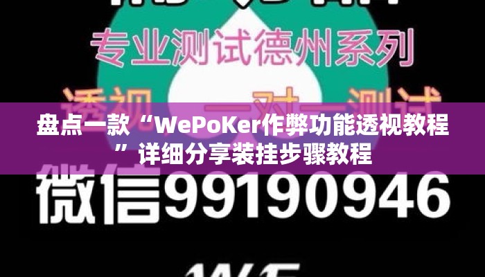 盘点一款“WePoKer作弊功能透视教程	”详细分享装挂步骤教程